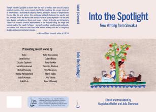 Into the Spotlight - cover - final copy